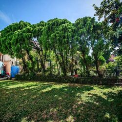Serangoon Garden Estate (D19), Terrace #542949561